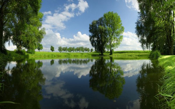 Природа река
