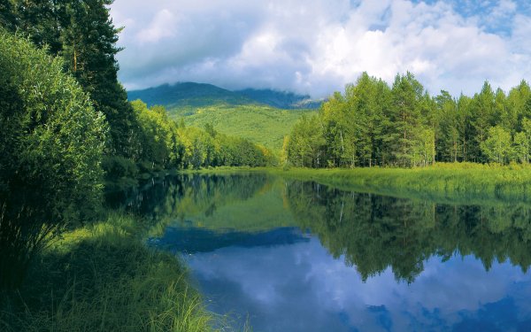 Природа река