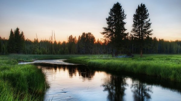 Природа Сибири