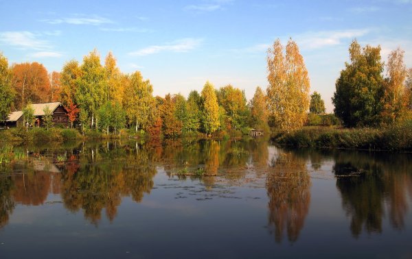 Пейзажи Щелыково Костромской области