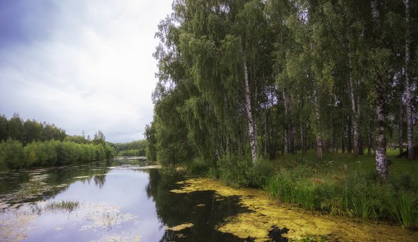 Река Костромка Костромской области