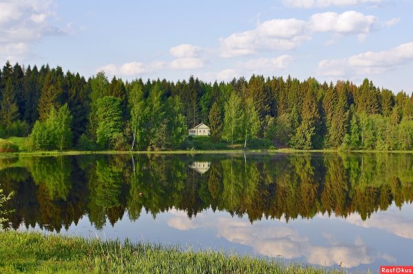 Природа Костромской области