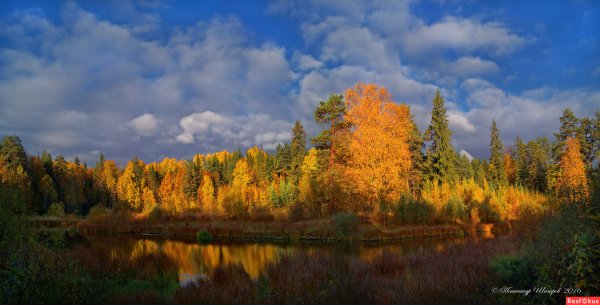 Осень в Шарье Костромской области