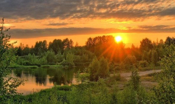 Природа Костромской области