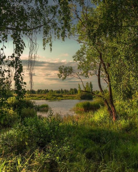 Природа Костромы и Костромской области