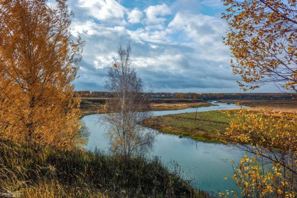Река Костромка Костромской области
