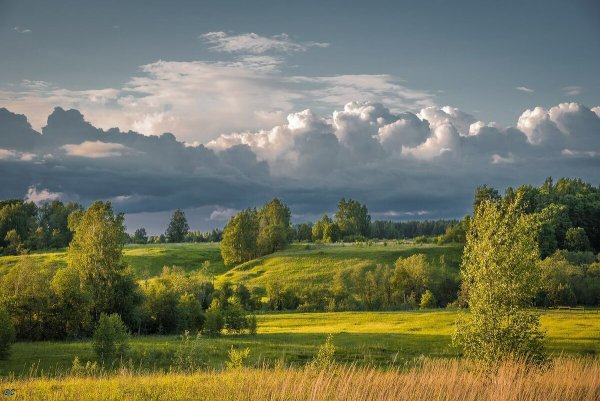 Природа Костромской области