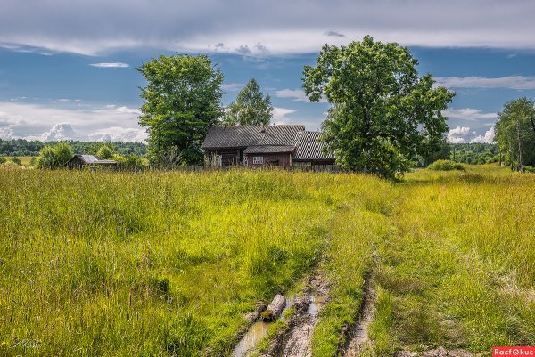 Деревня Сергеевица