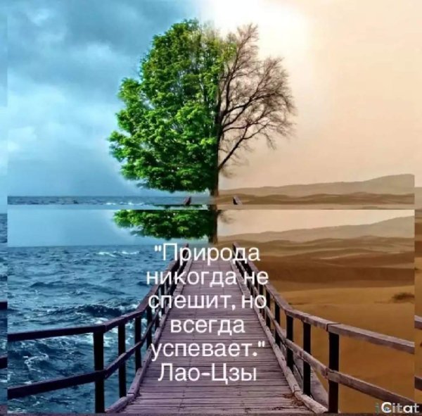 Цитаты про природу