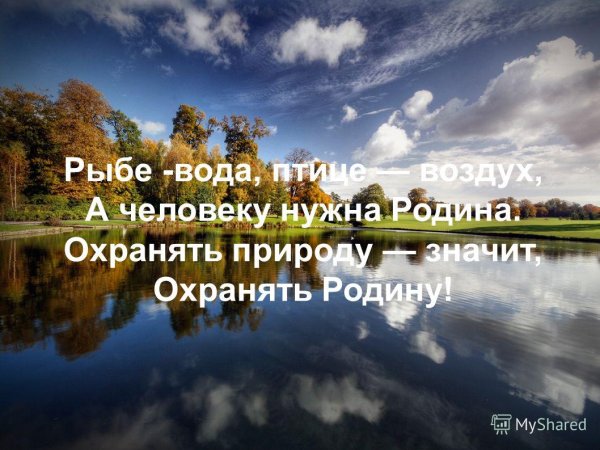 Цитаты про природу