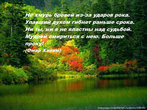 Красивые фразы про природу
