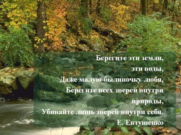 Цитаты про природу
