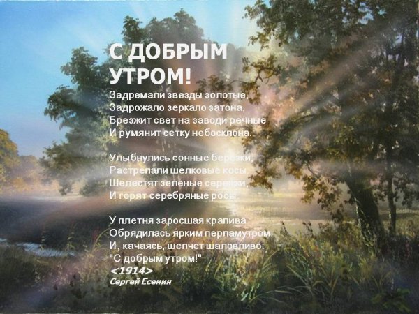 Стихи про утро