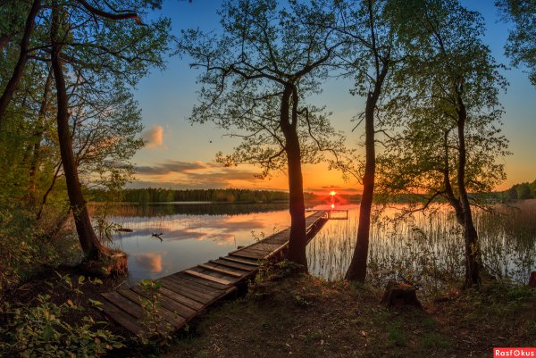 Белоруссия природа