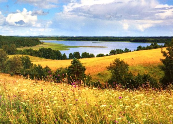 Просторы Беларуси природа
