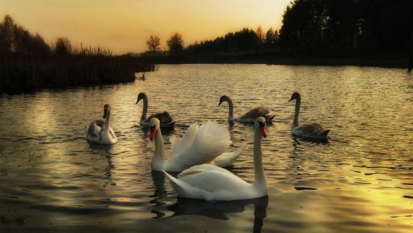 Белоруссия природа