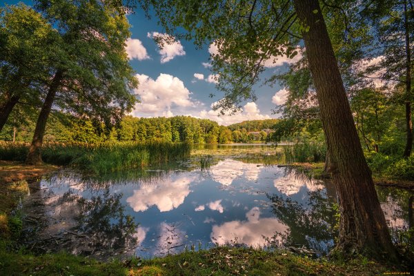 Белоруссия природа