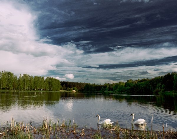 Белорусская природа