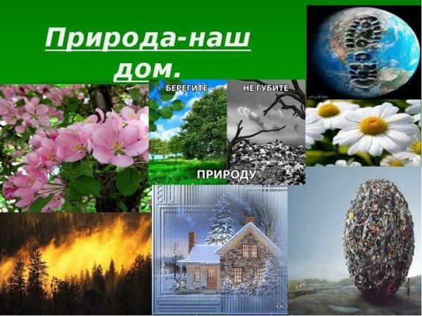 Мир вокруг нас