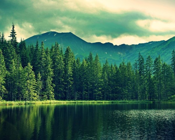 Красивая природа