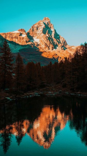 Зеленая природа