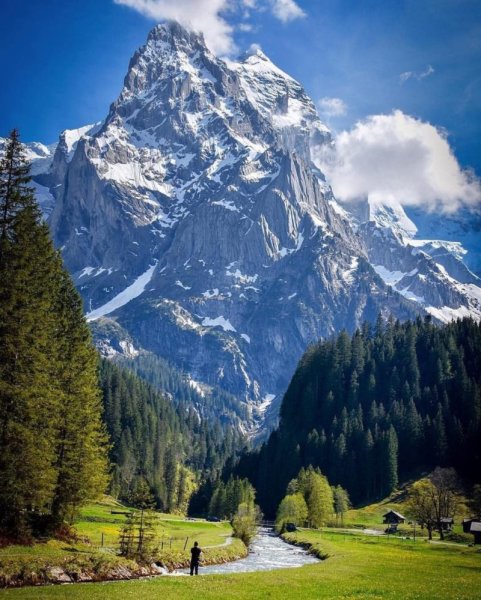 Природа вертикальные