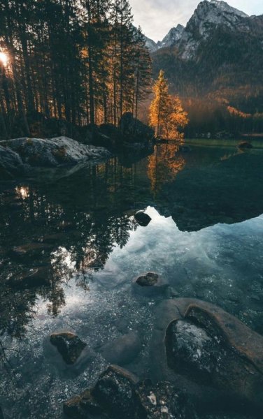 Заставки на телефон природа