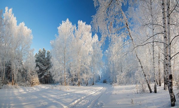 Красота русской зимы