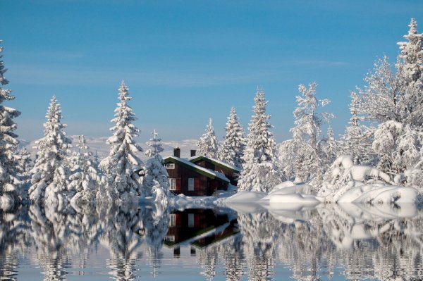 Красота зимы