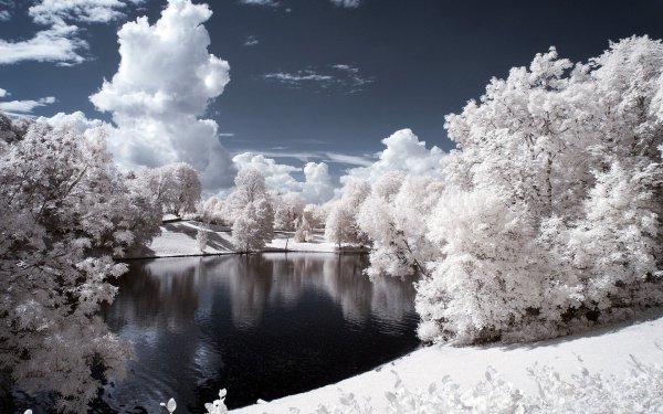 Красота зимы