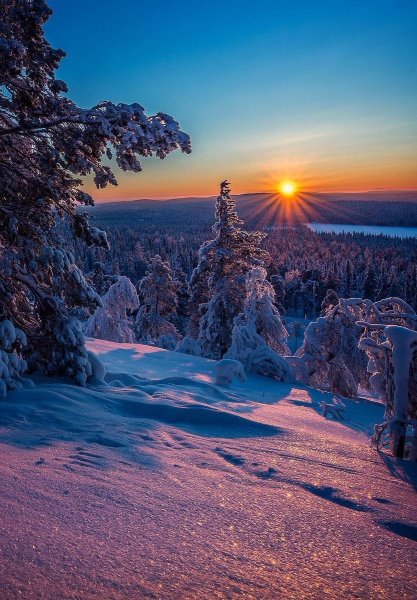 Зимняя природа