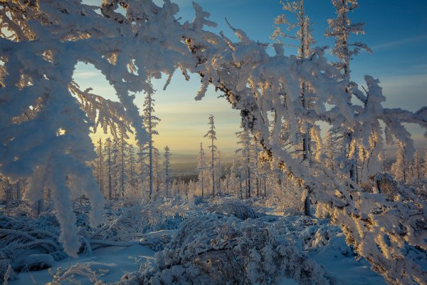 Оймякон пейзаж