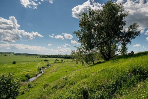 Просторы России Бежин луг Тульская область
