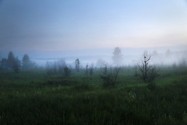 Картины природы-ночь Бежин луг