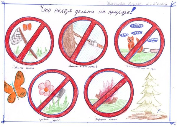 Рисунок на тему экология