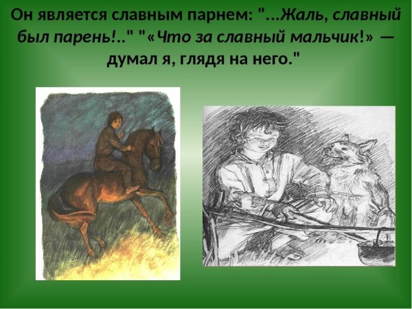 Бежевый луг Тургенев
