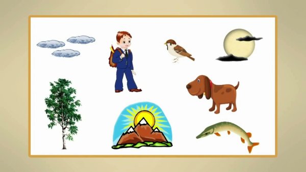 Объекты неживой природы