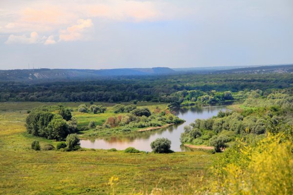 Курск равнина реки