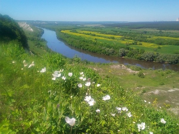 Воронежский район природа