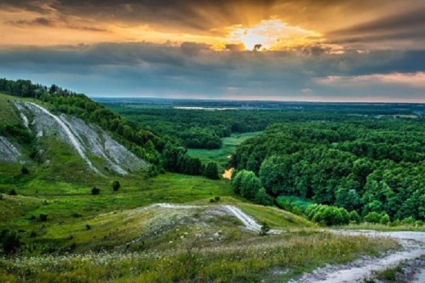 Природа Воронежского края