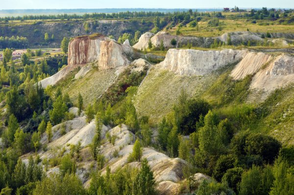 Река Дон Воронежская область Лиски