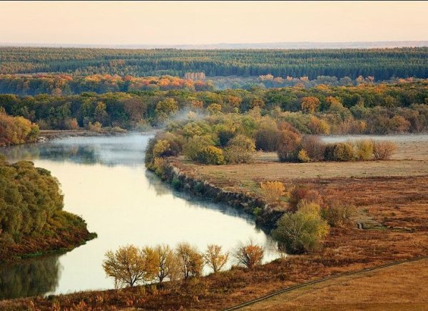 Природа Воронежской области река Дон