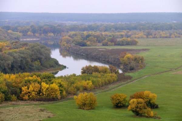 Лысая гора Кривоборье