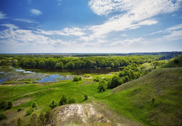 Воронежский район природа