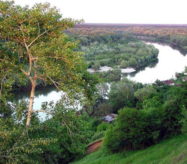 Меловые горы Дивногорье Воронежской