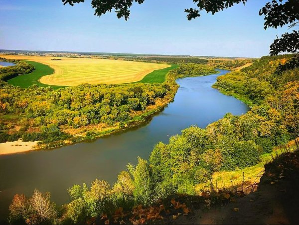 Река Дон в Липецкой области