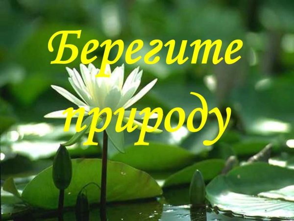 Оберегайте природу