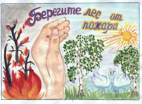Рисунок на тему береги природу