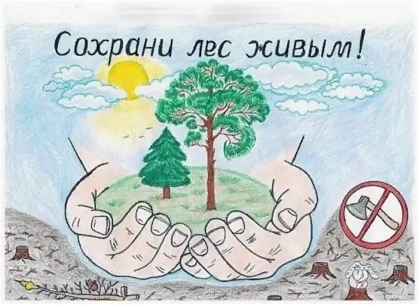Плакат защита леса