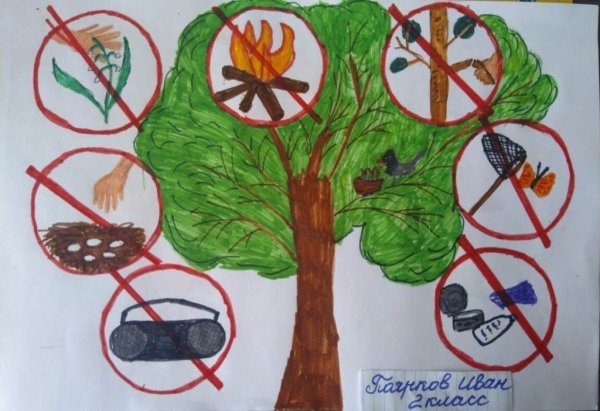 Плакат на тему защита природы